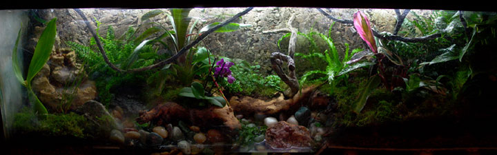 80 gal tank
